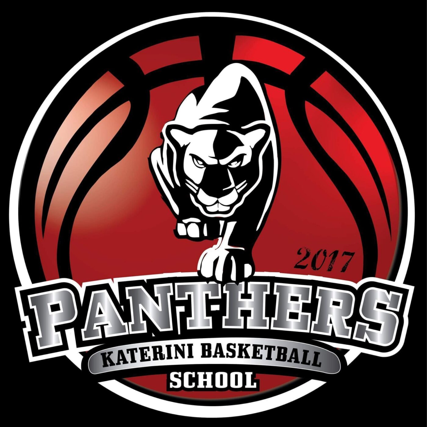 Νέο ΔΣ στους Πάνθηρες