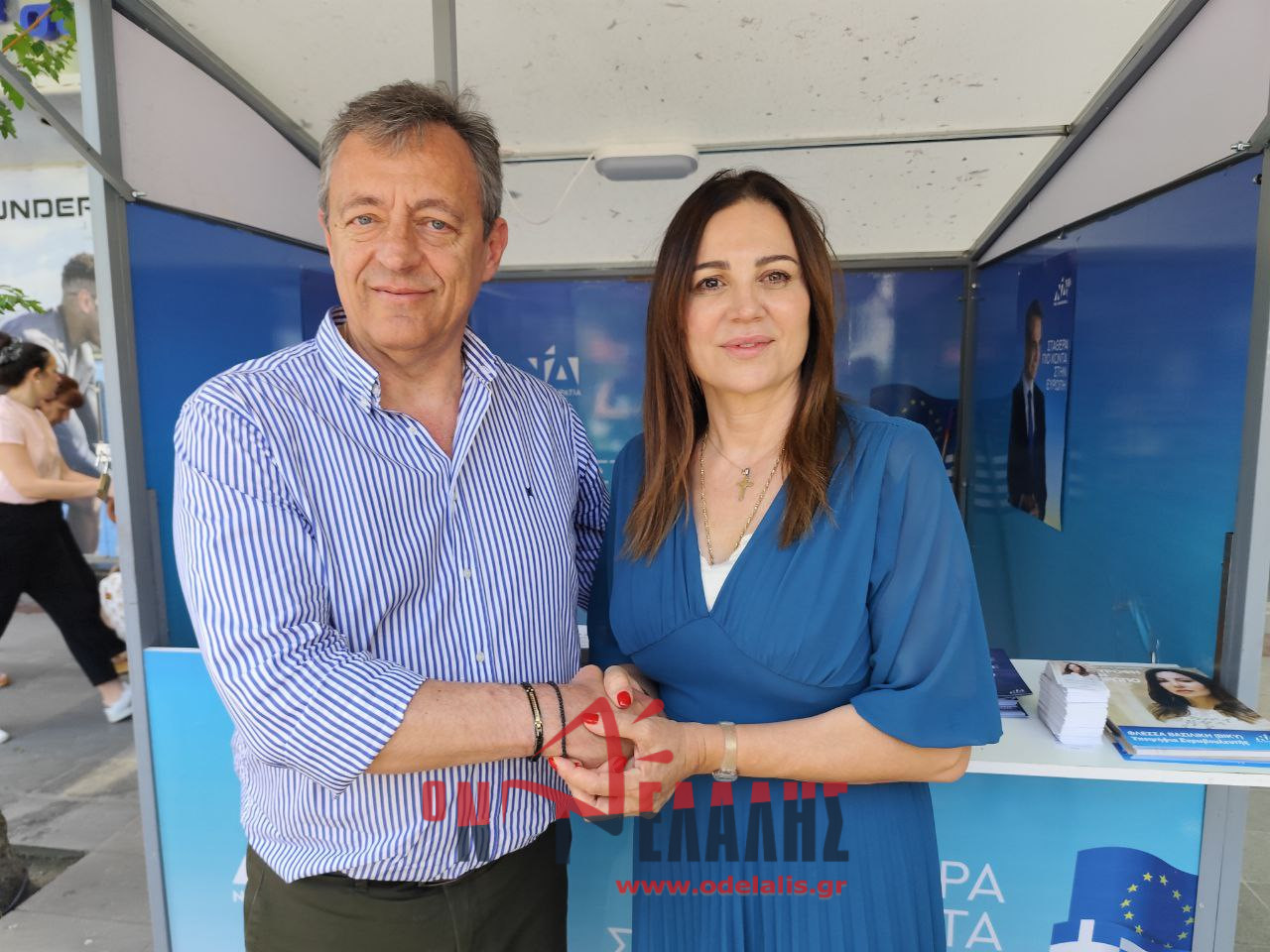 Βίκυ Φλέσσα: Να αναδείξουμε τον Εθνικό μας πλούτο στην Ευρωβουλή