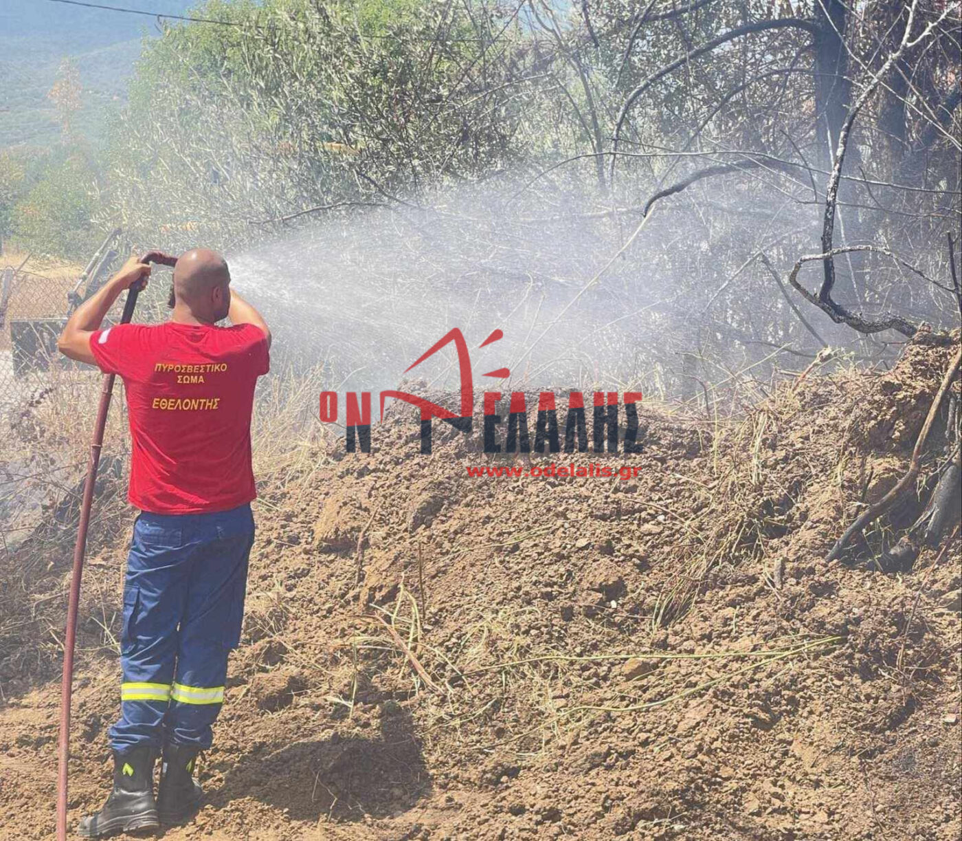 Φωτιά στους Νέους Πόρους