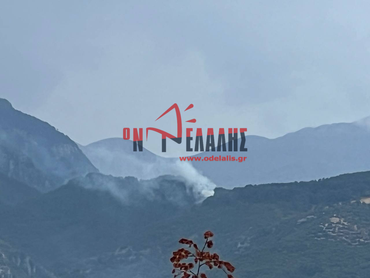 ΤΩΡΑ: Φωτιά στον Όλυμπο {photos & video}