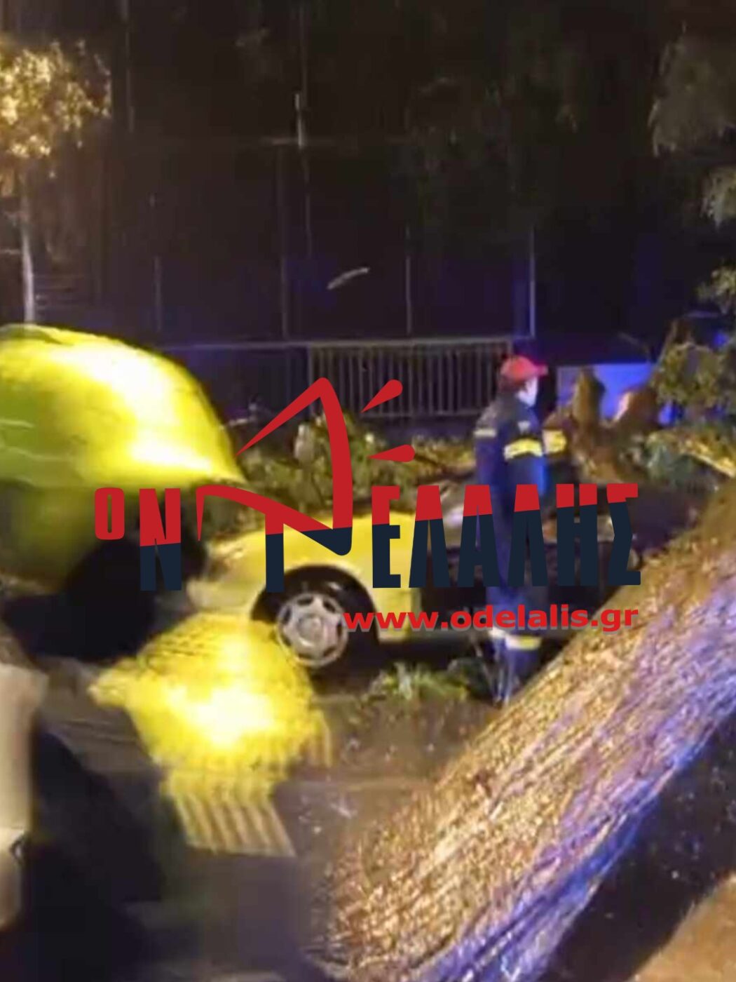 Κατερίνη ΤΩΡΑ: Δέντρο ξεριζώθηκε και έπεσε σε ταξί