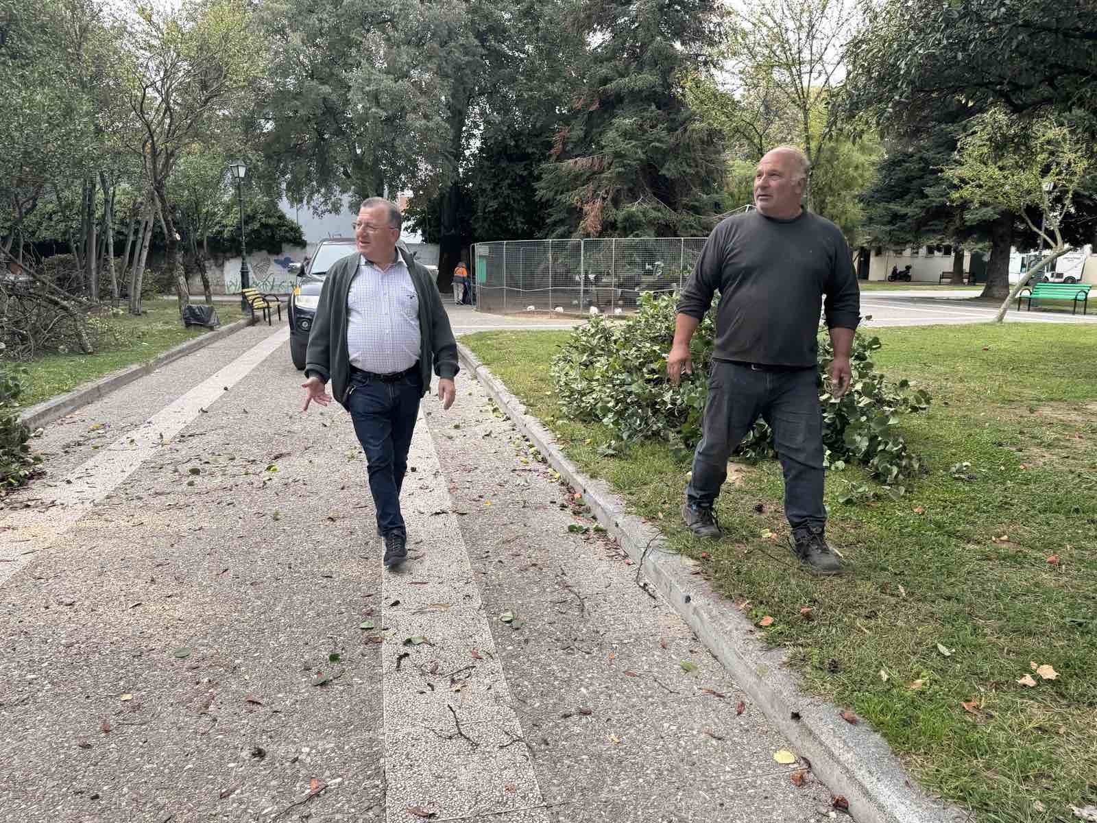 Δήμος Κατερίνης: Κοπή επικίνδυνων δέντρων στο Δημοτικό Πάρκο