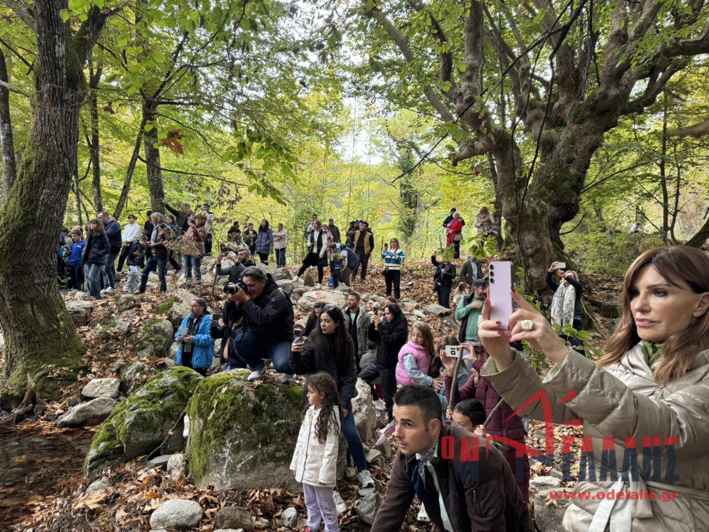 Γαστρονομικό Φεστιβάλ: Μια μοναδική γαστρονομική γιορτή στο Ελατοχώρι