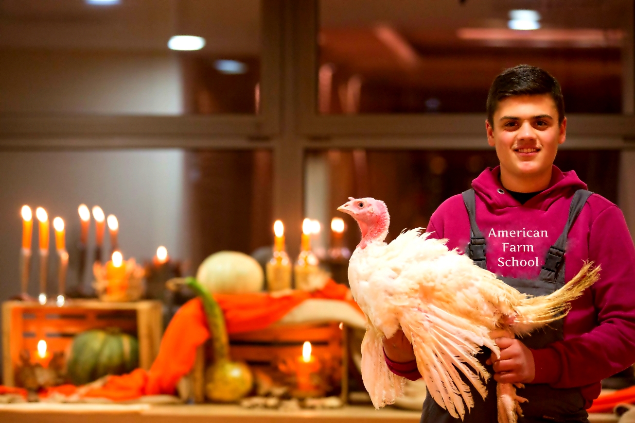 Η «βασίλισσα» του Χριστουγεννιάτικου τραπεζιού