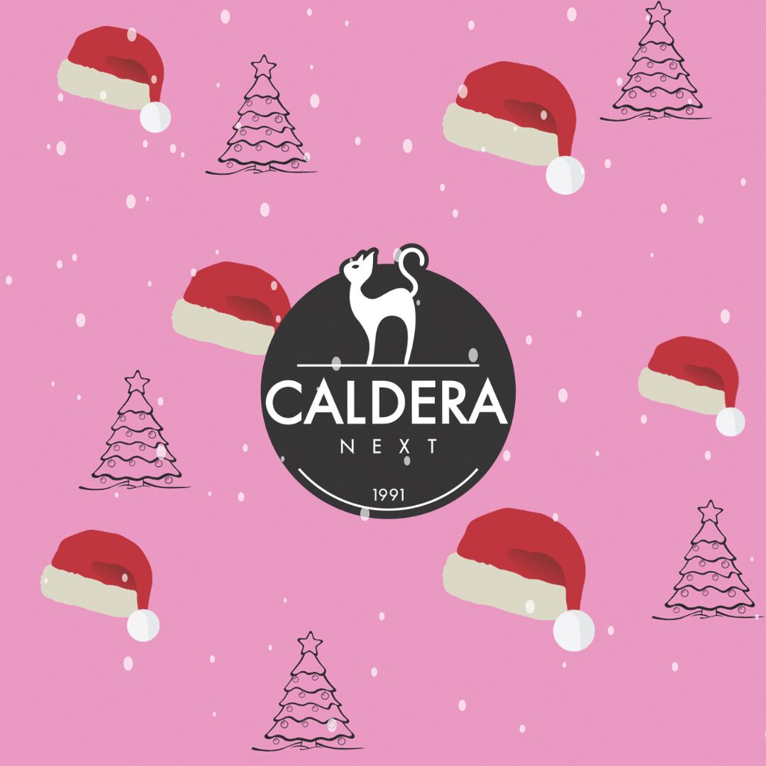 Το Caldera σας εύχεται καλά Χριστούγεννα