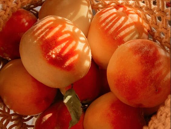 Αποζημιώσεις εντός Φεβρουαρίου για τα παραμορφωμένα ροδάκινα