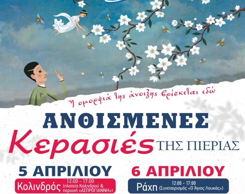 Στην τελική ευθεία «Οι Ανθισμένες Κερασιές της Πιερίας, 2025» – Αναλυτικό πρόγραμμα δράσεων