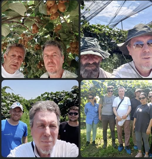 Η Συμβουλευτική Γεωργία ως βασικός παράγοντας για την επιτυχημένη καλλιέργεια των Ακτινιδίων