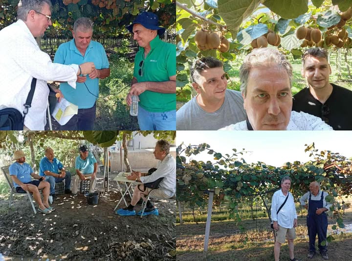 Η Συμβουλευτική Γεωργία ως βασικός παράγοντας για την επιτυχημένη καλλιέργεια των Ακτινιδίων