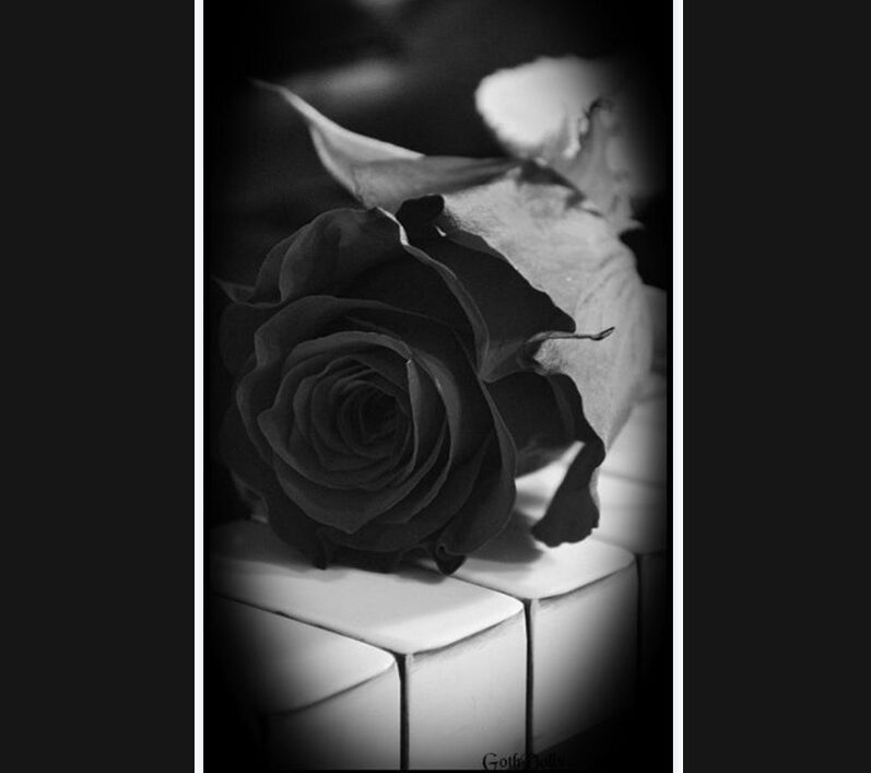 Συλλυπητήριο του Συλλόγου Γονέων Μουσικού Σχολείου Κατερίνης