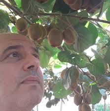 Πρέπει να δημιουργήσουμε στην Πιερία ένα Πιερικό Συμβούλιο Ακτινιδίων