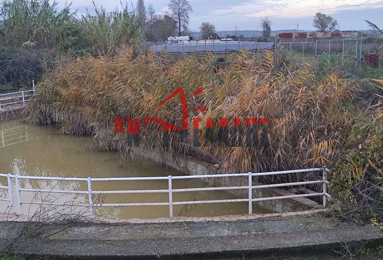 Καρίτσα: Καταγγελίες κατά της Περιφέρειας για το ακαθάριστο ρέμα «Ποτόκι» (vid)